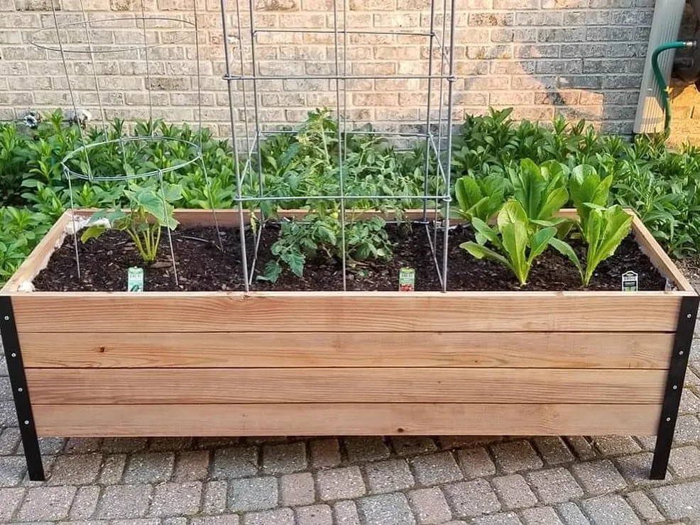 Cedar Planter Box Plans